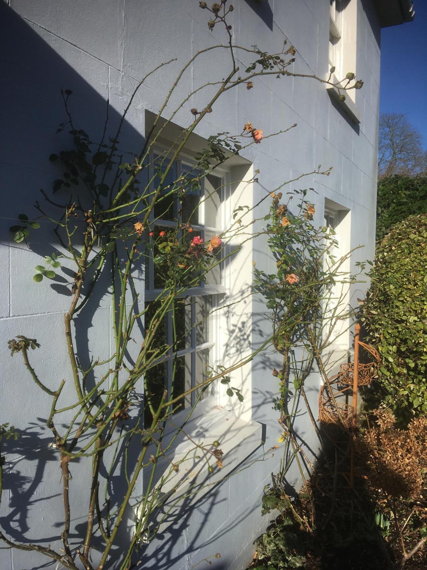 Georgian 2 Bedroom Apartment In Chichester With Free Parking - Chichester Holiday Properties Kültér fotó