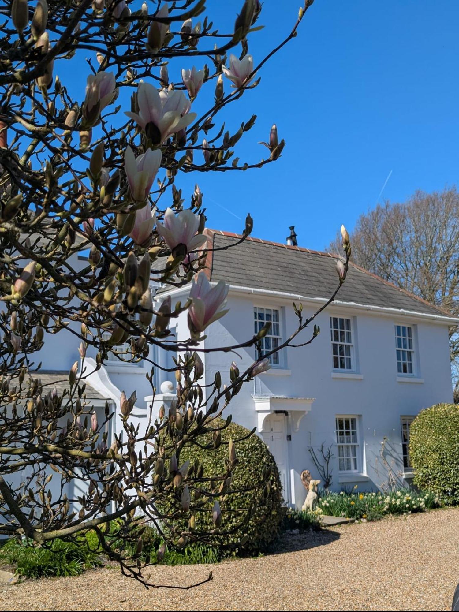 Georgian 2 Bedroom Apartment In Chichester With Free Parking - Chichester Holiday Properties Kültér fotó