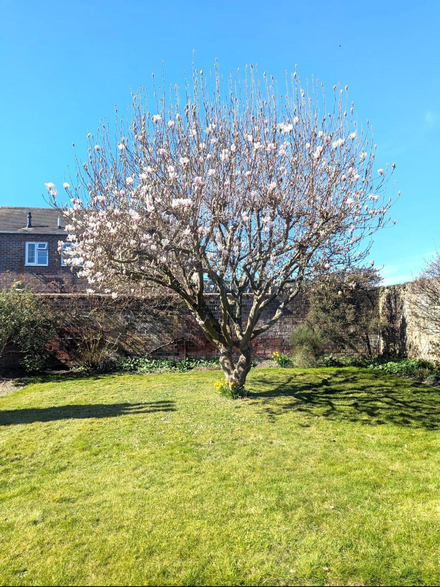 Georgian 2 Bedroom Apartment In Chichester With Free Parking - Chichester Holiday Properties Kültér fotó