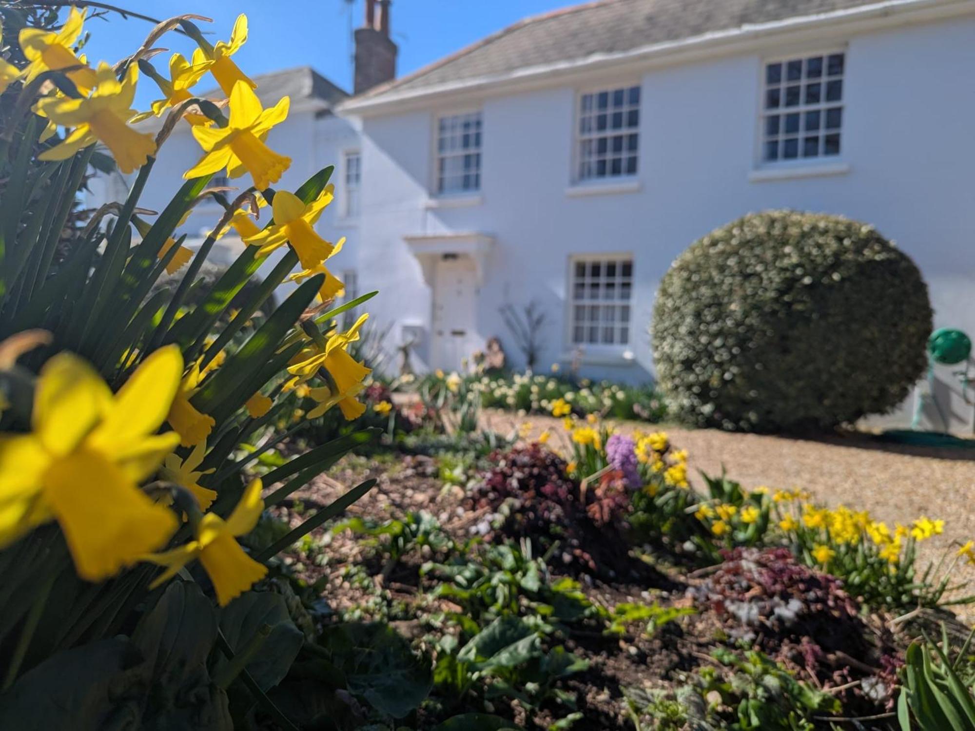 Georgian 2 Bedroom Apartment In Chichester With Free Parking - Chichester Holiday Properties Kültér fotó