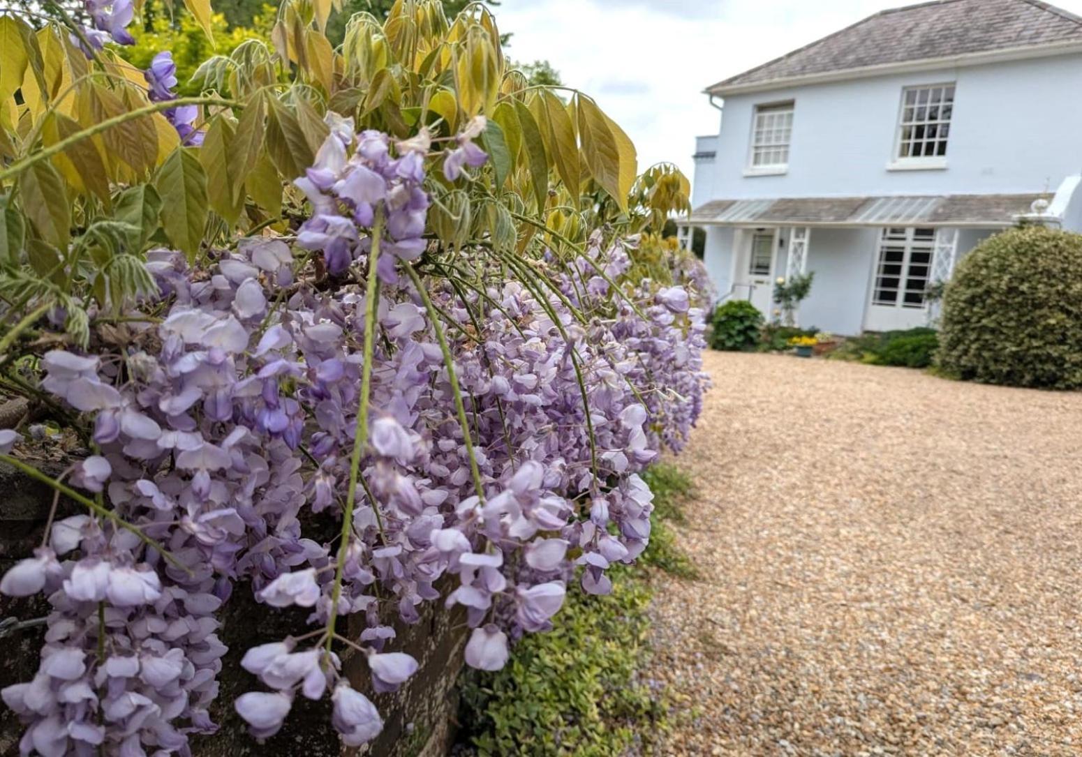 Georgian 2 Bedroom Apartment In Chichester With Free Parking - Chichester Holiday Properties Kültér fotó